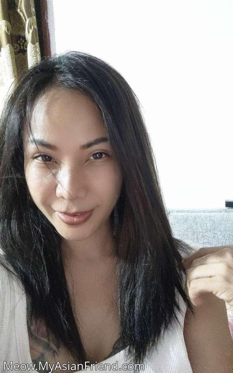 Meow's personal blog photo 1 added Tuesday the 7th of October 2025