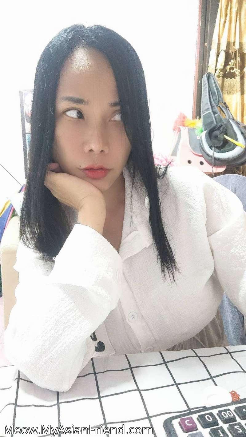 Meow's personal blog photo 1 added Friday the 10th of October 2025