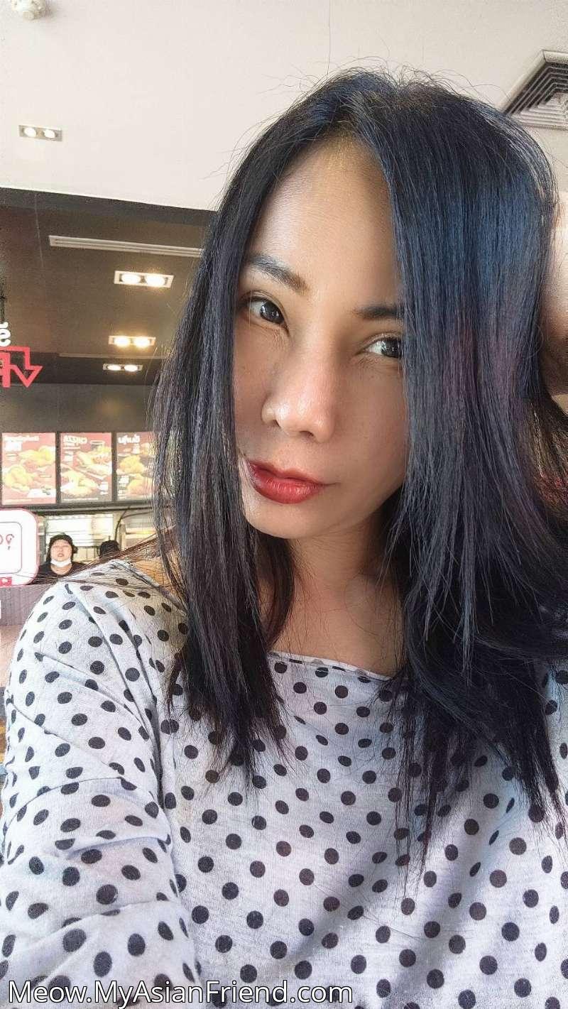 Meow's personal blog photo 1 added Sunday the 12th of October 2025