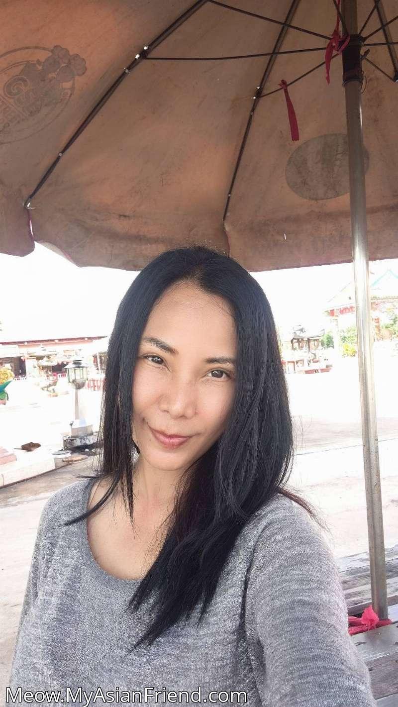 Meow's personal blog photo 1 added Friday the 17th of October 2025