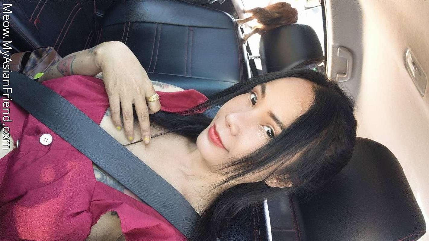 Meow's personal blog photo 1 added Monday the 20th of October 2025