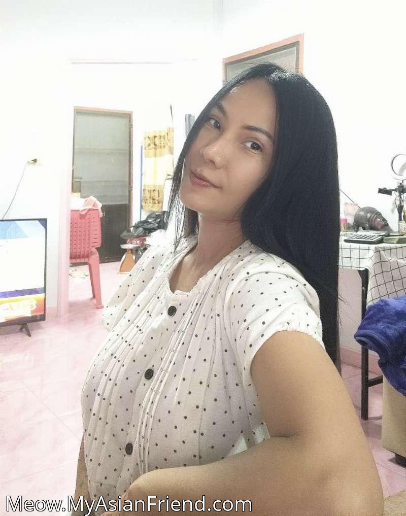 Meow's personal blog photo 1 added Wednesday the 22nd of October 2025