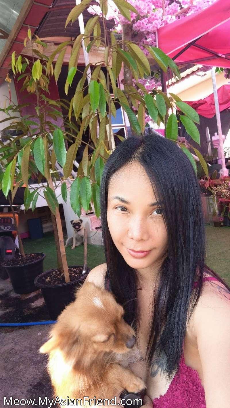 Meow's personal blog photo 1 added Thursday the 23rd of October 2025