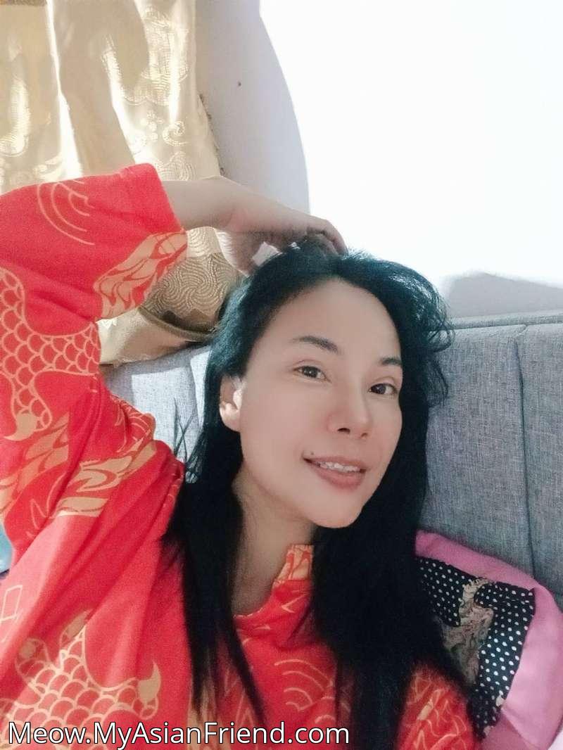 Meow's personal blog photo 1 added Wednesday the 19th of November 2025