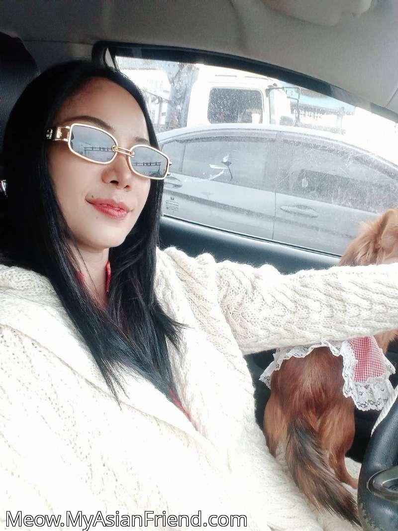 Meow's personal blog photo 1 added Friday the 21st of November 2025