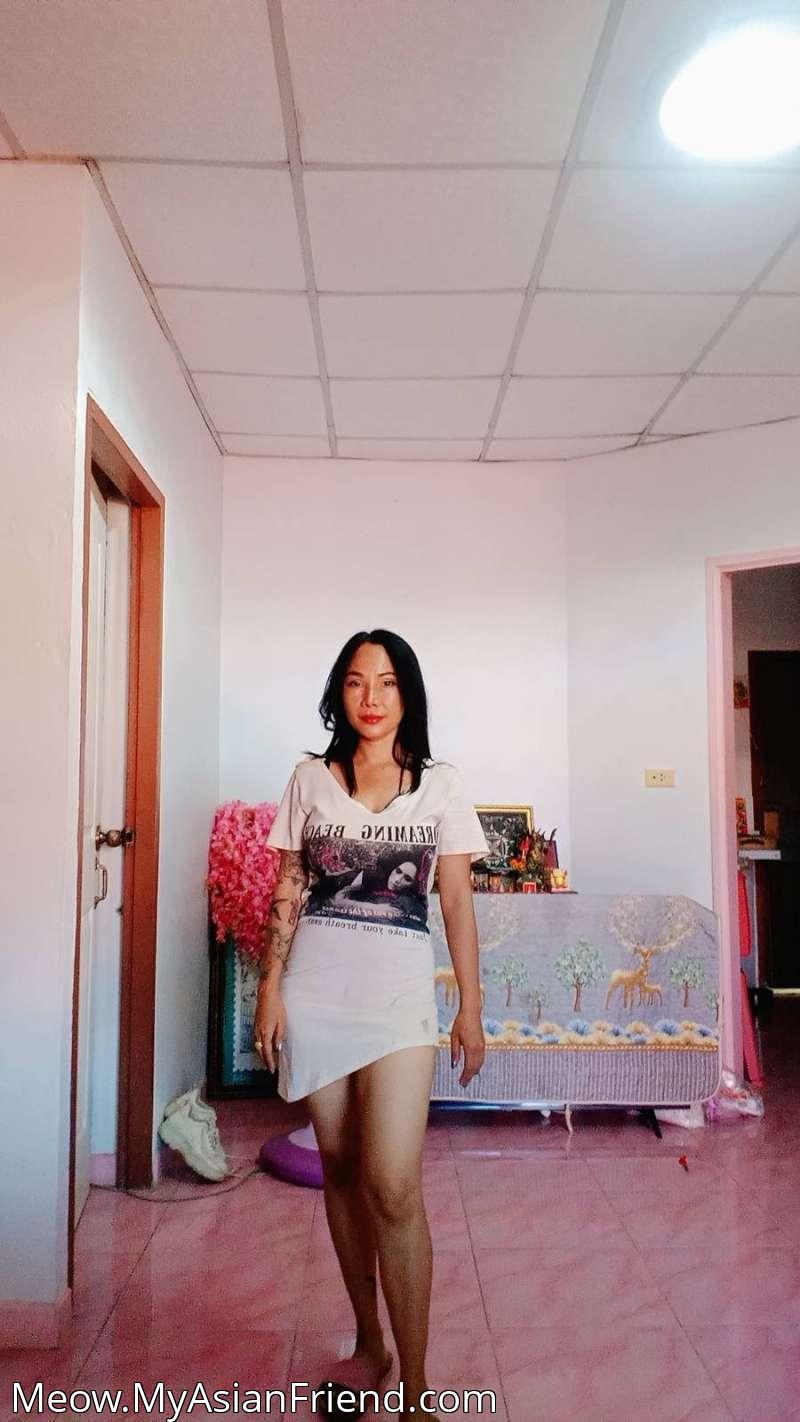 Meow's personal blog photo 1 added Sunday the 23rd of November 2025