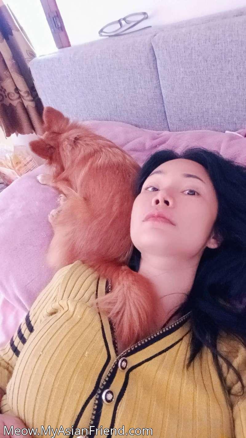 Meow's personal blog photo 1 added Monday the 8th of December 2025